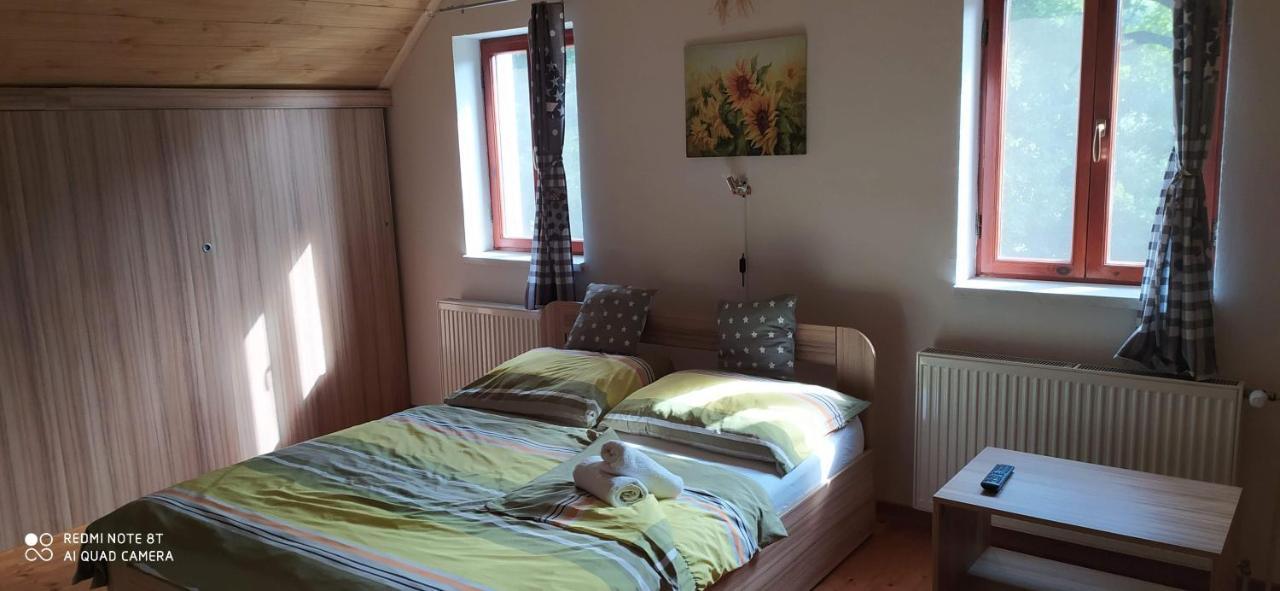 Apartmany Natalie Dvory nad Luznici Bagian luar foto