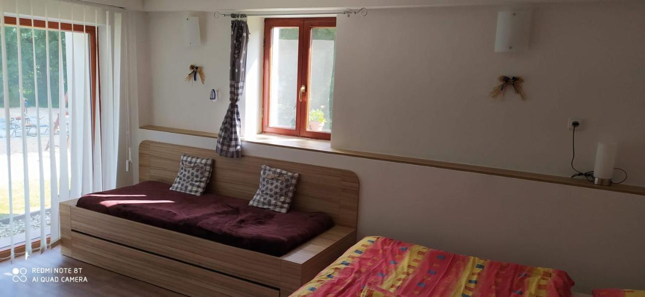 Apartmany Natalie Dvory nad Luznici Bagian luar foto